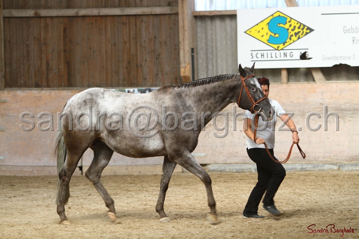 24-ApHC HIH_039.jpg